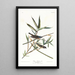 Moucherolle solitaire ou viréo - John James Audubon — kehystetty taideteos seinällä