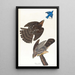 Faucon de Stanley - John James Audubon — kehystetty taideteos seinällä