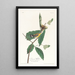 Paruline de Swainson - John James Audubon — kehystetty taideteos seinällä