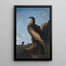 Aigle de mer de Washington - John James Audubon — kehystetty taideteos seinällä