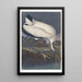 Ibis des bois - John James Audubon — kehystetty taideteos seinällä