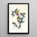 Chardonneret jaune ou Chardonneret d'Amérique - John James Audubon — kehystetty taideteos seinällä