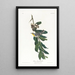 Paruline à gorge jaune - John James Audubon — kehystetty taideteos seinällä