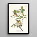 Paruline à poitrine jaune - John James Audubon — kehystetty taideteos seinällä