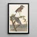 Héron couronné - John James Audubon — kehystetty taideteos seinällä