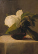 Magnolia - John La Farge — näkymä teoksesta
