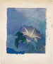 Nocturne - John La Farge — näkymä teoksesta