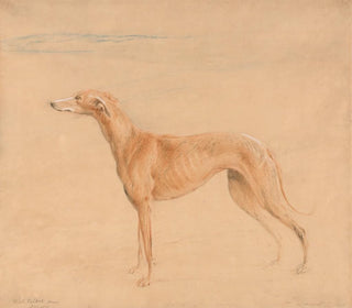John Linnell - Earl Talbots Hound Thomasine.webp