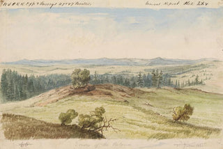 John Mix Stanley - Source of the Peluse.webp
