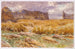 Champ Camouflé en France - John Singer Sargent — näkymä teoksesta