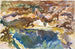 Mies ja uima-allas - Floridassa, John Singer Sargent — näkymä teoksesta