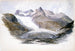 Rhône-jäätikkömaalaus - John Singer Sargent — näkymä teoksesta