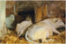 Kolme härkää - John Singer Sargent — näkymä teoksesta