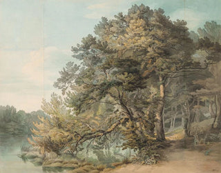 Peamore Devon - John White Abbott — näkymä teoksesta