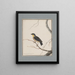 Dessins originaux à l'aquarelle d'oiseaux et d'œufs Pl16 - John William Lewin — kehystetty taideteos seinällä