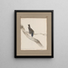 Dessins originaux à l'aquarelle d'oiseaux et d'œufs Pl33 - John William Lewin — kehystetty taideteos seinällä