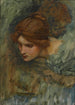 Venus-pään tutkimus Adoniksen heräämisen yhteydessä - John William Waterhouse — näkymä teoksesta