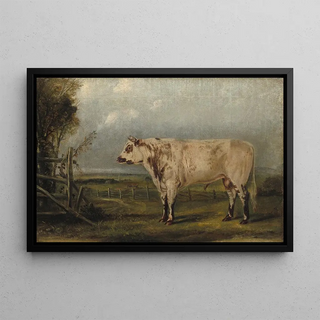 John Woodhouse Audubon - A Young Bull.webp