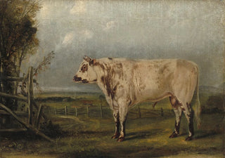 John Woodhouse Audubon - A Young Bull.webp