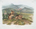 Lièvre de Nuttall mâle taille naturelle - John Woodhouse Audubon — näkymä teoksesta