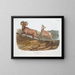 Mouton des montagnes rocheuses mâle et femelle - John Woodhouse Audubon — kehystetty taideteos seinällä