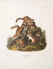 Tamias lysterii Chipping Squirrel Hackee c Taille naturelle Mâle Femelle et Jeune Premier Automne - John Woodhouse Audubon — näkymä teoksesta
