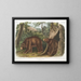 Ours noir américain variété cannelle mâle et femelle - John Woodhouse Audubon — kehystetty taideteos seinällä
