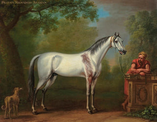 John Wootton - The Bloody Shoulderd Arabian.webp