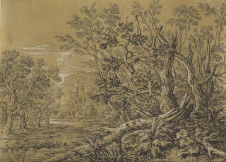 Jonas Umbach - Stream through an Ancient Forest.webp