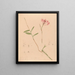 Iconographie des orchidées du Brésil Pl28 - João Barbosa Rodrigues — kehystetty taideteos seinällä