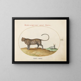 Joris Hoefnagel - A Cheetah and a Wild Sheep.webp