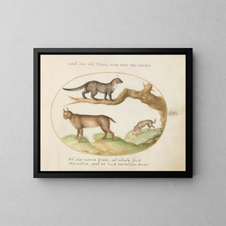 Joris Hoefnagel - A Civet a Lynx and a Hyena Eating a Dog.webp