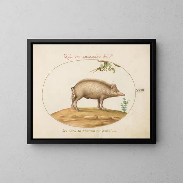 Un cochon avec des glands - Joris Hoefnagel — kehystetty taideteos seinällä
