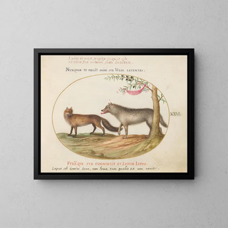Joris Hoefnagel - A Red Fox and a Wolf.webp