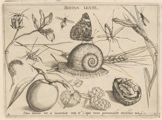 Joris Hoefnagel - Archetypa studiaque patris Georgii Hoefnagelii Pl05.webp