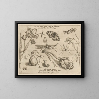 Joris Hoefnagel - Archetypa studiaque patris Georgii Hoefnagelii Pl07.webp