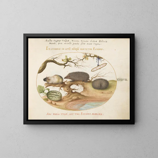 Joris Hoefnagel - Guinea Pig and Hedgehogs with Melon and Cobnuts.webp