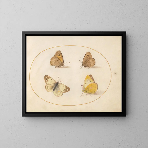 Plaque 09 Papillons Meadow Brown, Gatekeeper, Clouded Yellow et Bath White - Joris Hoefnagel — kehystetty taideteos seinällä