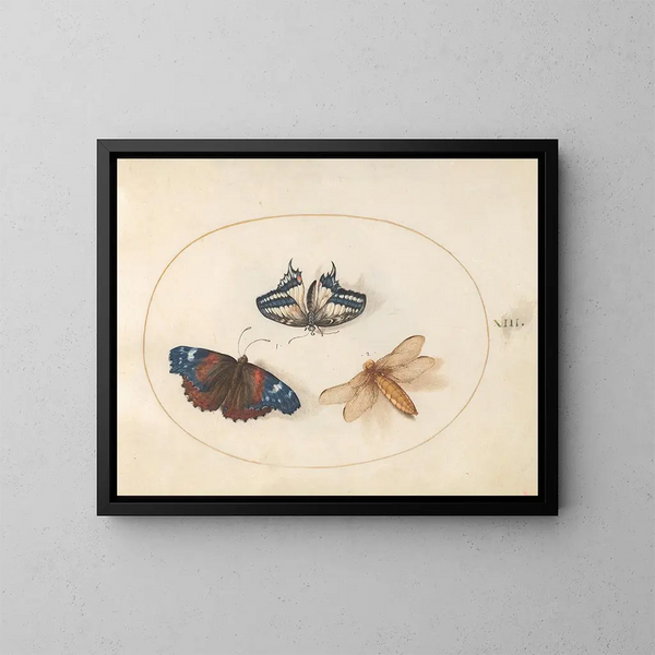 Plaque 13: Papillons queue de hirondelle jaune et amiral rouge avec une libellule chasseresse à corps large - Joris Hoefnagel — kehystetty taideteos seinällä