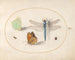 Planche 17: Papillons de soufre et de prairie, un chasseur bleu et deux petits insectes - Joris Hoefnagel — näkymä teoksesta