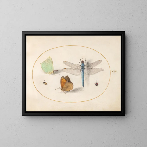 Planche 17: Papillons de soufre et de prairie, un chasseur bleu et deux petits insectes - Joris Hoefnagel — kehystetty taideteos seinällä