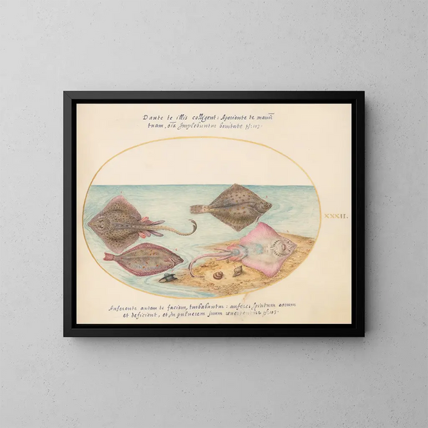 Planche 32: Raies avec un œuf et deux poissons plats - Joris Hoefnagel — kehystetty taideteos seinällä