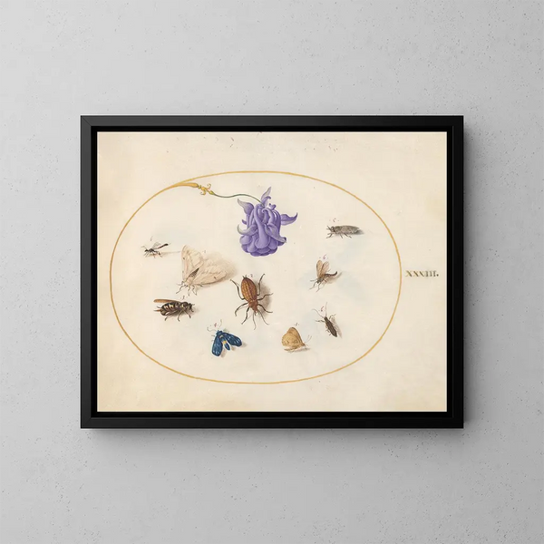 Platine 33 Papillon de nuit et papillon avec d'autres insectes et une fleur de colombine - Joris Hoefnagel — kehystetty taideteos seinällä