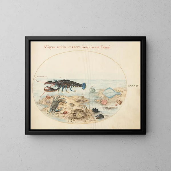 Platine 44 Homard, deux crabes, coquilles de pétoncle ja muita merenelämän muotoja - Joris Hoefnagel — kehystetty taideteos seinällä