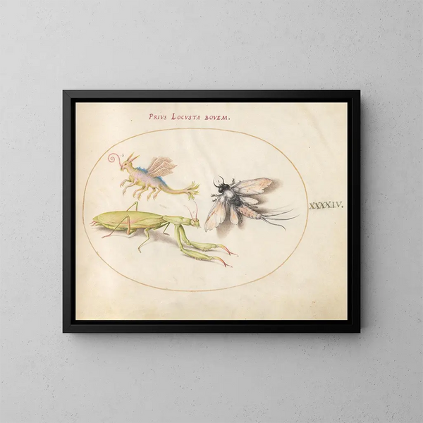 Platine 44 Mante, Ephemeral ja kuvitteellinen Locuste - Joris Hoefnagel — kehystetty taideteos seinällä