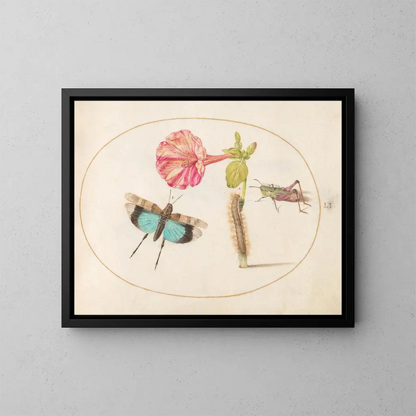 Platine 51 Sauterelles et une chenille avec une fleur de quatre heures - Joris Hoefnagel — kehystetty taideteos seinällä