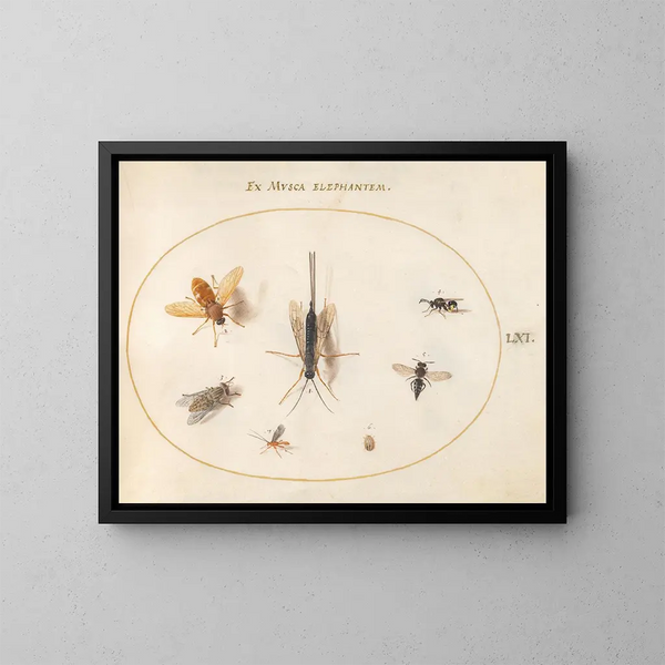 Platine 61 Sept hyönteiset, mukaan lukien kärpäset - Joris Hoefnagel — kehystetty taideteos seinällä