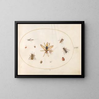 Platine 62 Dix insectes - Joris Hoefnagel — kehystetty taideteos seinällä