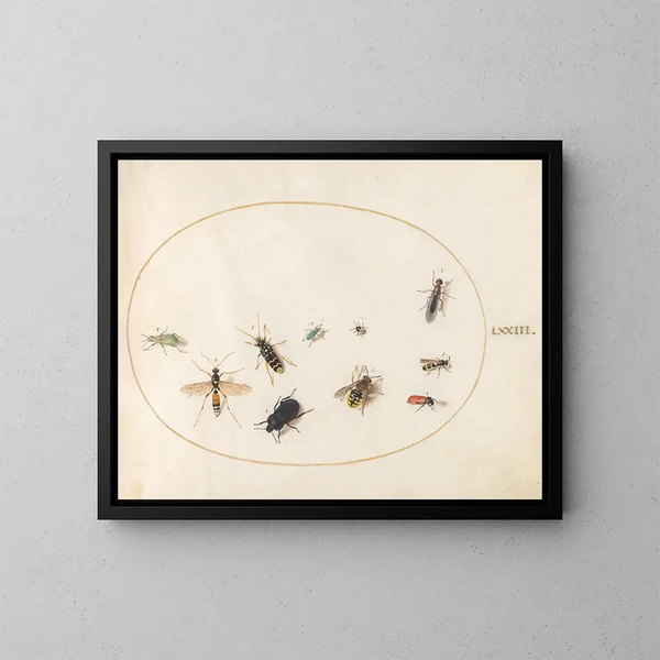 Platine 73 Dix insectes - Joris Hoefnagel — kehystetty taideteos seinällä
