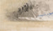 Le Croquis de la Manche 35 - Joseph Mallord William Turner — näkymä teoksesta
